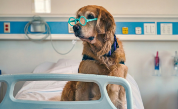 Gemini_Generated_Image_13j0j213j0j213j0